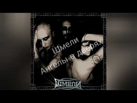 Видео: шмели ангелы в дверях