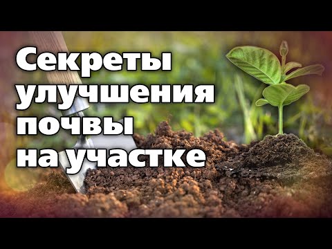 Видео: Глина и песок в почве - больше не проблема!