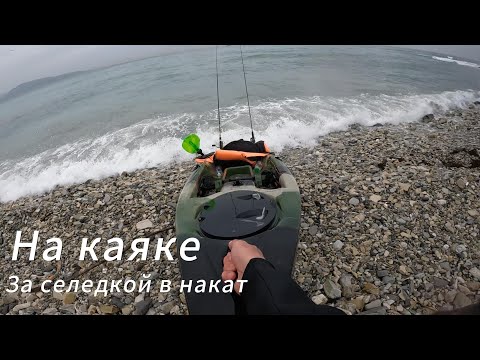 Видео: За селедкой в накат
