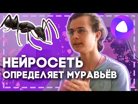 Видео: НЕЙРОСЕТЬ УГАДЫВАЕТ ВИД МУРАВЬЯ! Как определить вид матки муравьёв с помощью нейросети?