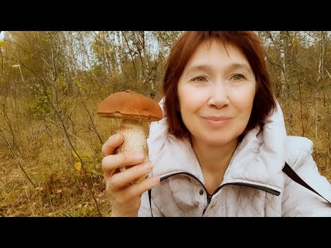 Видео: Прощальный поцелуй осеннего леса...