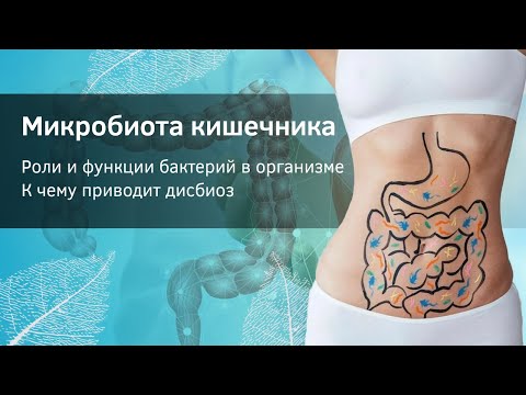 Видео: Микробиота кишечника. Бактерии и микрофлора. Дисбиоз.