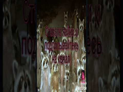 Видео: Nekto.me. Вирт с сюжетом 2