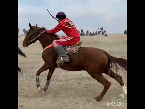 Видео: Беш-Терек айылында болгон жер улак 
