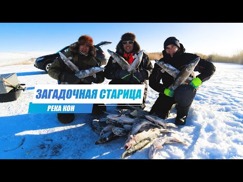 Видео: Настоящая Зимняя Рыбалка с Ночевкой. Щука возле Каждой Лунки