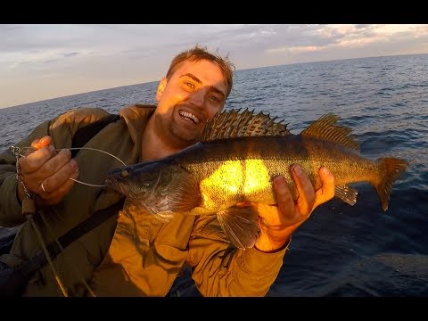 Видео: Рыбинское водохранилище - открытие сезона 2017