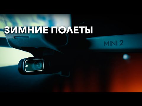 Видео: Dji Mini 2 | Как я летаю зимой? Зимние полеты над Копорской крепостью