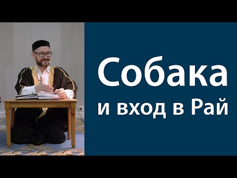Видео: Обретение рая и собака
