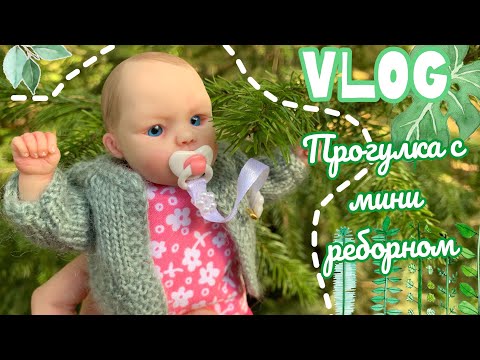 Видео: ВЛОГ С МИНИ РЕБОРНОМ / ПРОГУЛКА С МИНИ РЕБОРНОМ