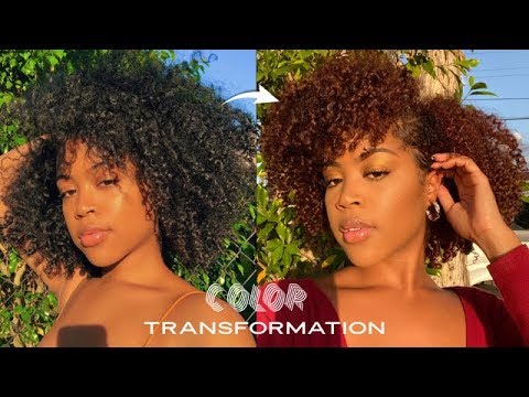 Видео: Я ПОКРАСИЛА ВОЛОСЫ! Из чёрного в медно-коричневый за ОДИН ДЕНЬ (без повреждений)