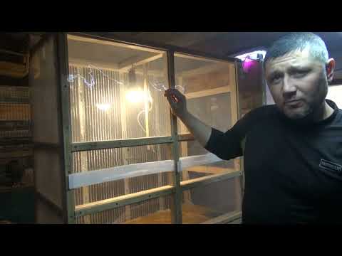 Видео: Мулей. Инсектарий. Вольер для мух. Часть-2.