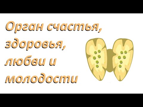 Видео: Орган счастья, здоровья, любви и молодости