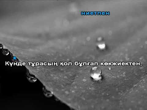 Видео: Дариға жүрек  караоке (COVER)