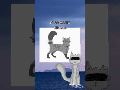 Видео: топ 10 красивых котов-воителей