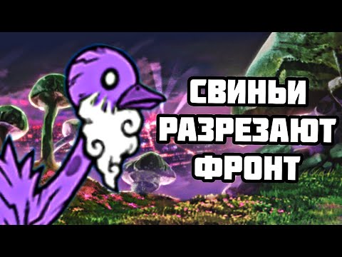 Видео: МУДРЫЙ СТРАУС! Проходим ZL #34 (The Battle Cats)