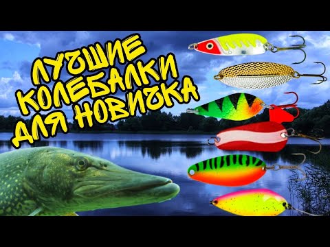 Видео: Какую блесну купить на щуку? Лучшие колеблющиеся блёсны для новичка