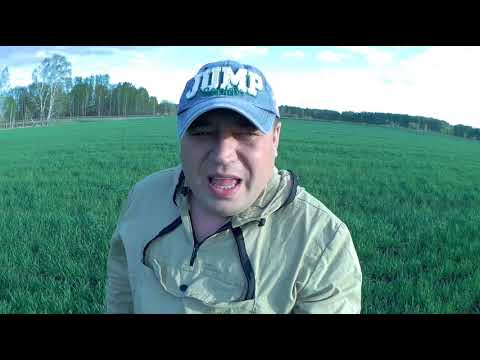 Видео: Бродячий скот. Лучший способ борьбы с вредителями!
