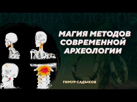 Видео: Магия методов современной археологии. Тимур Садыков. Родина слонов №368