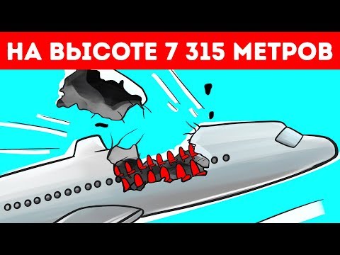 Видео: Самолет потерял крышу на высоте 7 315 м, но пилоту удалось приземлиться