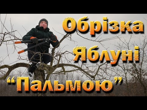 Видео: Обрезка старой яблони пальмой. Обрезка яблони с понижением крон