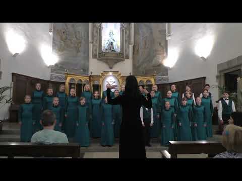 Видео: Русская народная песня Ты река ль моя, реченька. Обработка С. Екимова