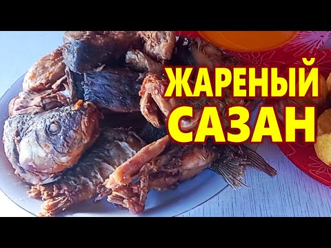 Видео: ЖАРЕНЫЙ САЗАН В КАЗАНЕ ! ВКУСНО ЖАРЕНАЯ РЫБА !
