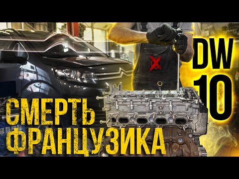 Видео: Французы долго не живут? Citroen Jumpy 2.0 HDi