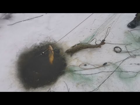 Видео: Рыбалка На Сети в -30. (АРХИВНОЕ ВИДЕО)