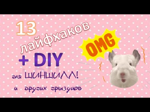 Видео: 13 ЛАЙФХАКОВ + DIY для ШИНШИЛЛ!(и других грызунов)
