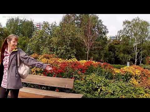 Видео: ##Обзор.#Городская ЭСПЛАНАДА ЦВЕТЕТ.  #АВГУСТ. #КРАСОТА. #ПЕРМЬ. #ПрогулкапоПерми,  #Андрей. #Shorts
