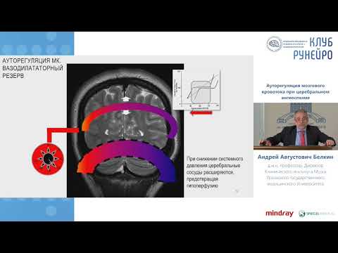 Видео: Ауторегуляция МК при церебральн ангиоспазме Белкин А.А.