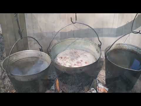 Видео: #оттуур сирим