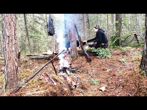 Видео: ЗАЕХАЛИ В ТАЙГУ. ОТКРЫТИЕ ПУТИКОВ. ПУШНОЙ ПРОМЫСЕЛ 2022.