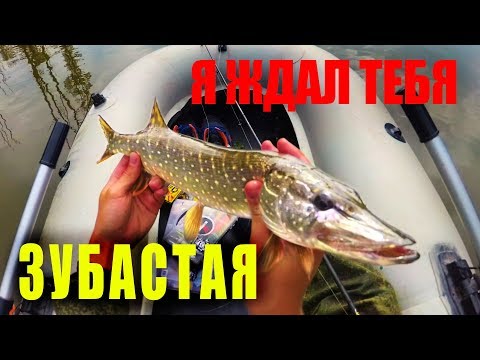 Видео: Наконец-то! ЩУКА ЗАШЕВЕЛИЛАСЬ! Осенняя Ловля на СПИННИНГ С ЛОДКИ
