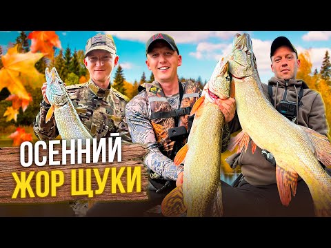 Видео: НАШЛИ РУЧЕЙ ПОЛНЫЙ РЫБЫ! ДВА ДНЯ РЫБАЛКИ НА ДИКОЙ РЕКЕ!