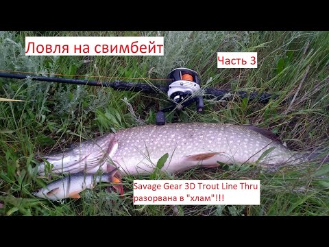 Видео: Ловля щуки на свимбейт.Часть 3.Savage Gear 3D Line Thru Roach разорвана в "хлам"!!!