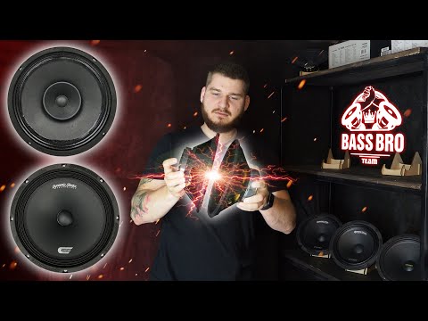 Видео: Обзор DYNAMIC STATE CUSTOM CM-25.1 и AUDIO NOVA SL-250DC! Бюджетные 25-ки