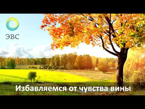 Видео: ЭВС#01. Избавляемся от чувства вины.