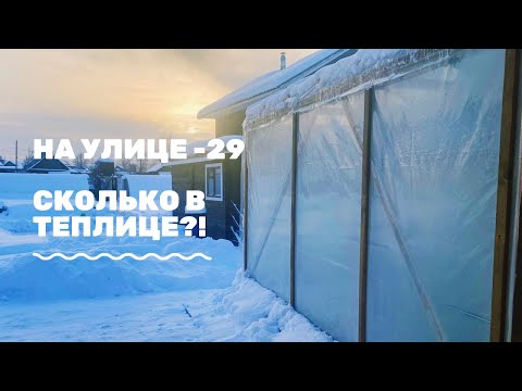 Видео: Зимняя теплица на Урале / Запустили теплицу в декабре