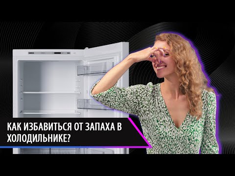 Видео: Как убрать запах из холодильника? Полезные советы потребителям.