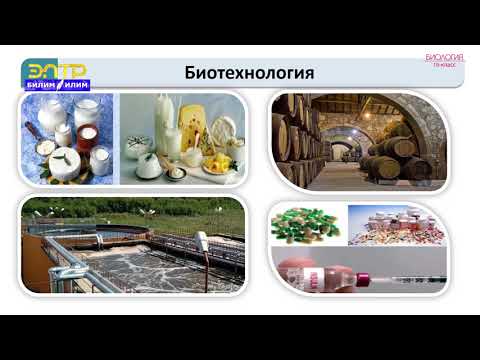 Видео: 10-класс | Биология | Молекулалык биология. Ген инженериясы. Биотехнология