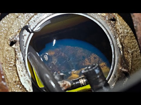 Видео: Паджеро с медведями был близок, НО