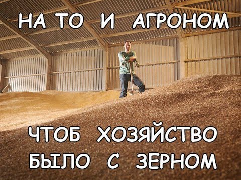 Видео: Отбор проб семян