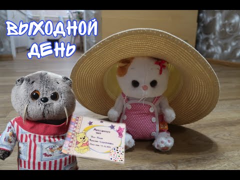 Видео: День с Басиками и Лили / Обзор на медицинскую карту для Басиков