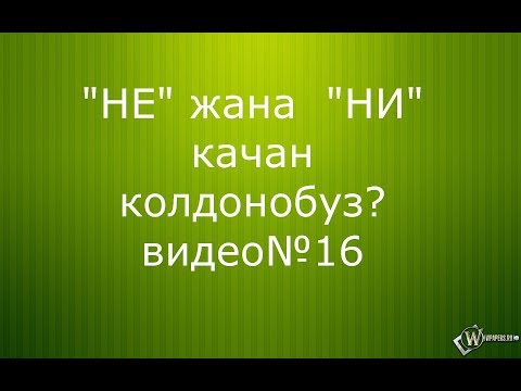 Видео: НЕ жана НИ бөлүкчөлөрун качан колдонобуз?