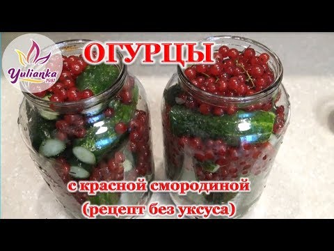 Видео: ОГУРЦЫ с КРАСНОЙ СМОРОДИНОЙ. Маринуем огурцы БЕЗ УКСУСА. Простой и полезный рецепт