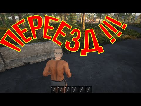 Видео: Достали кабаны!!!