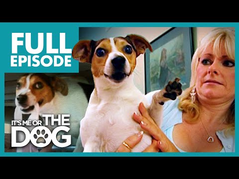 Видео: Вор трусиков: Арахис | Полный эпизод | Либо я, либо собака