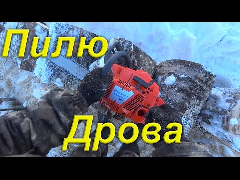 Видео: Пилю дрова Китайской копией Husqvarna 365. Весенние морозы. Первичные настройки бензопилы. Провинция