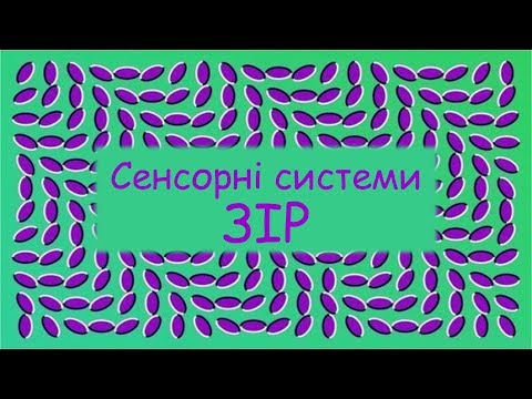 Видео: Сенсорні системи. Зоровий аналізатор. Будова ока. Зір